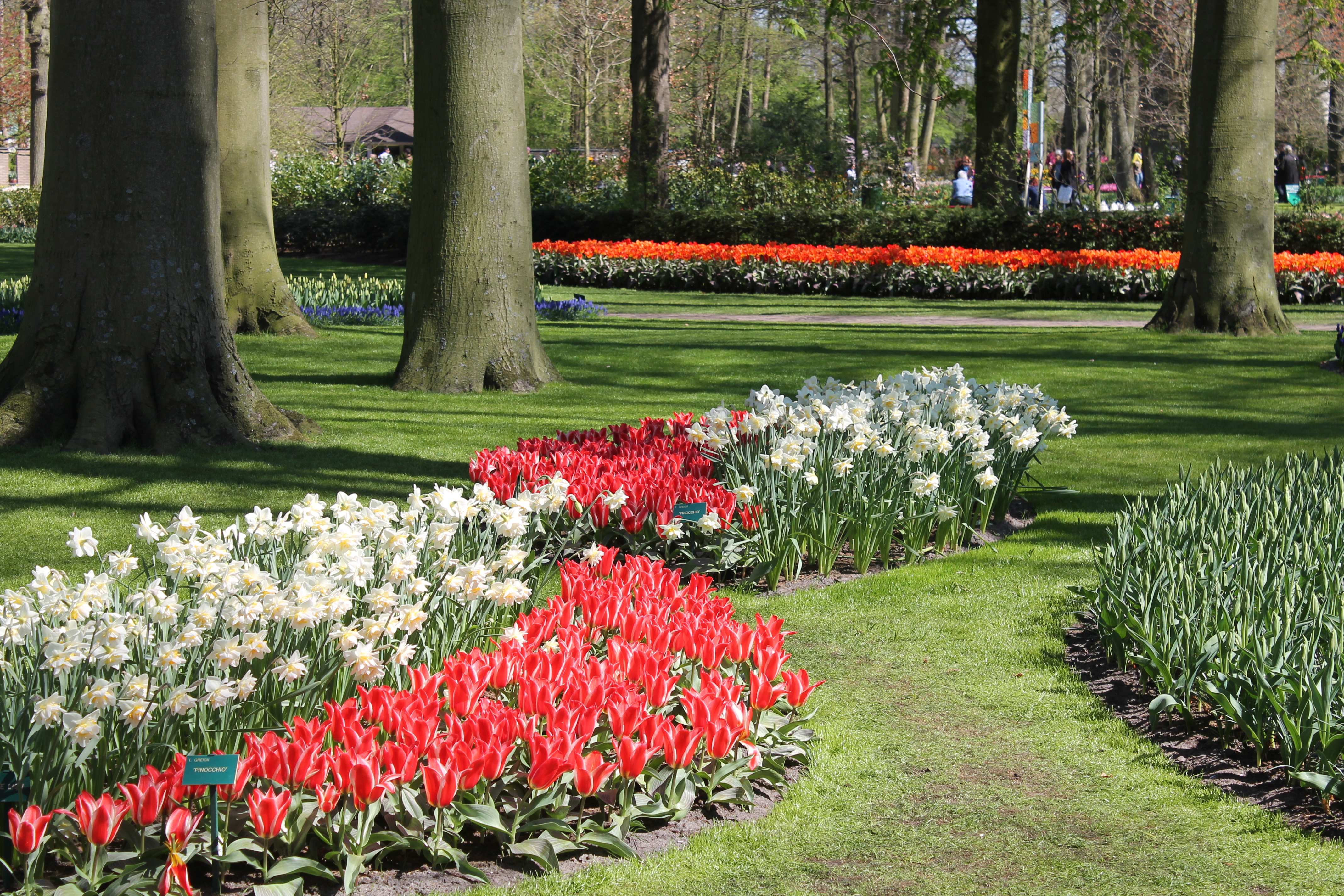 Parklandschaft des Keukenhof 