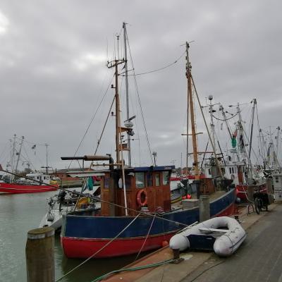 Img 20230304 115335 Edit 1067379806903274