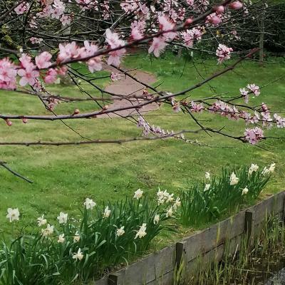 Img 20230407 173040 Edit 2925086563823454