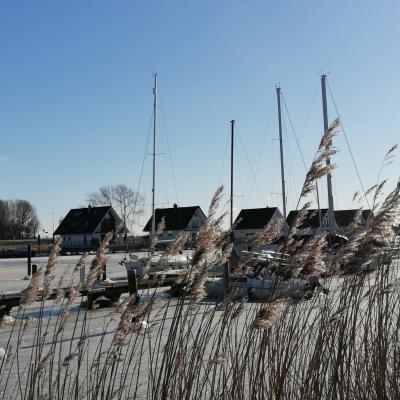 Img 20210212 121048 Kopie