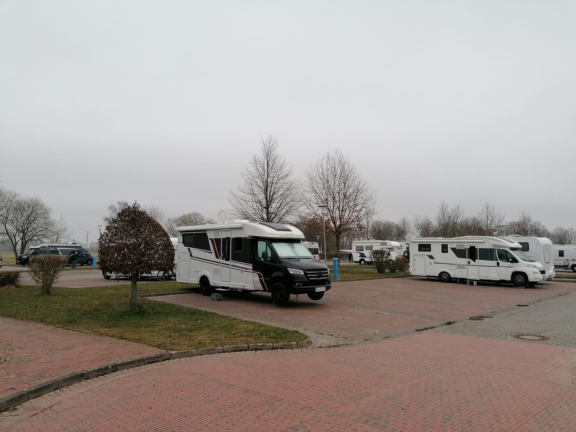 WhatsApp Image 2026 03 08 at 18.57.29